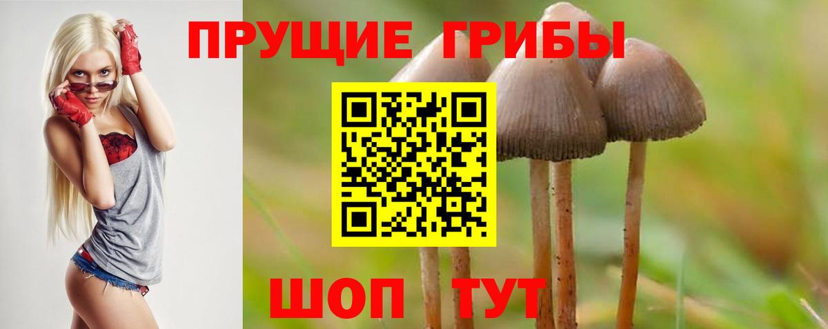 Псилоцибиновые грибы мицелий Бугуруслан
